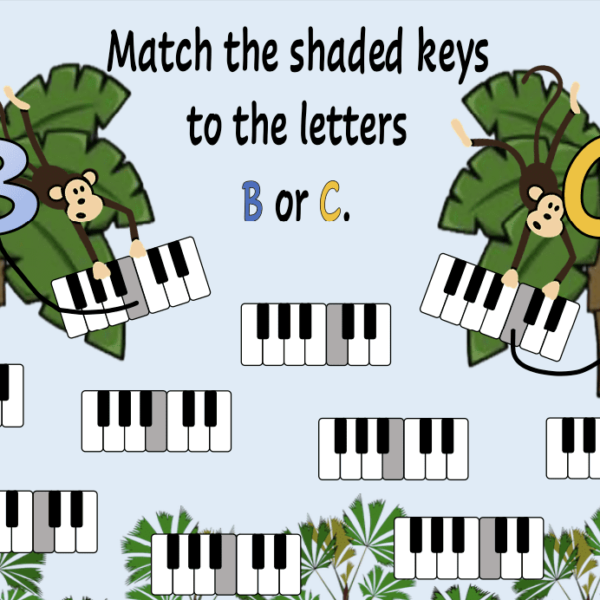 A monkey and leaf themed game with matching keys.